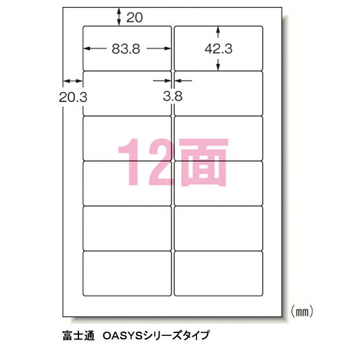 エーワン　パソコンプリンタ＆ワープロラベルシール〈プリンタ兼用〉　マット紙（A4判）　100枚入　規格：A4判12面