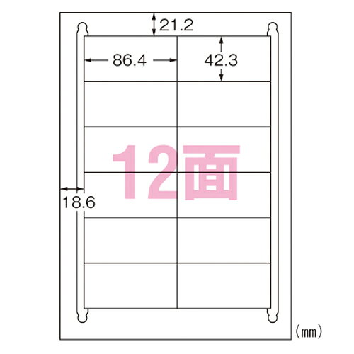 エーワン ラベルシール〈プリンタ兼用〉 マット紙（A4判） 再生紙 100枚入 規格:A4判12面
