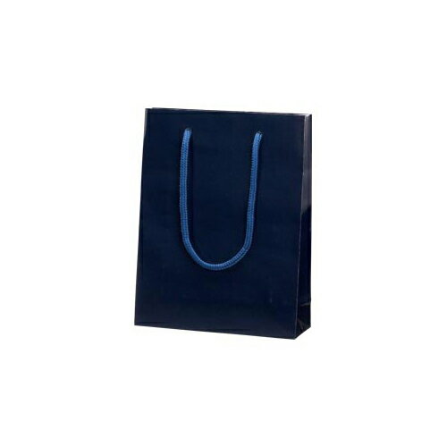 シモジマ HEIKO ブライトバッグ MM(シコン)