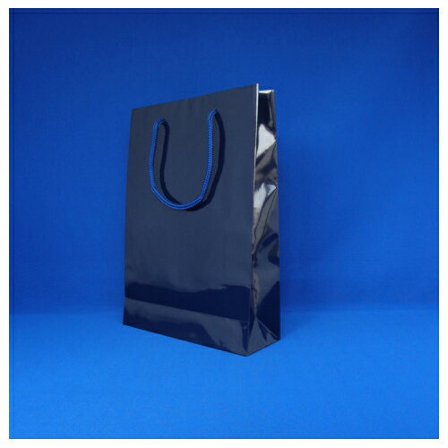 シモジマ HEIKO ブライトバッグ SWT(シコン)