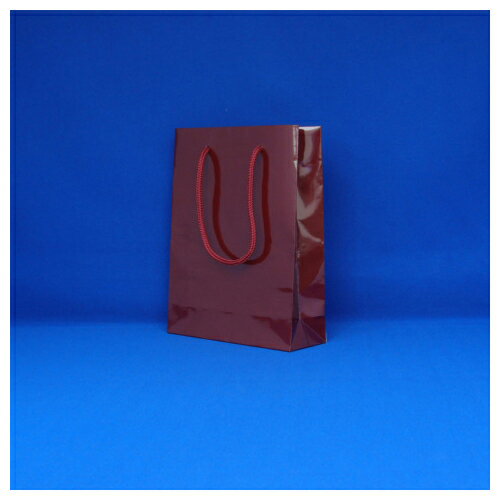 シモジマ HEIKO ブライトバッグ MM(エンジ)