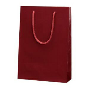 シモジマ HEIKO ブライトバッグ SWT(エンジ)