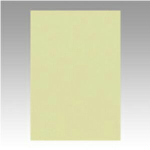 ●鮮やかな色画用紙です。●入数：100枚●八ツ切●横271×縦392mm●JANコード：4954022681241※商品コード：71866（1）文運堂　ニューカラーR　八ツ切（くろ）（2）文運堂　ニューカラーR　八ツ切（くらいはいいろ）（3）文運堂　ニューカラーR　八ツ切（はいいろ）（4）文運堂　ニューカラーR　八ツ切（あかるいはいいろ）（5）文運堂　ニューカラーR　八ツ切（ゆき）