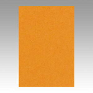 ●鮮やかな色画用紙です。●入数：100枚●八ツ切●横271×縦392mm●JANコード：4954022682101※商品コード：71871（1）文運堂　ニューカラーR　八ツ切（くろ）（2）文運堂　ニューカラーR　八ツ切（くらいはいいろ）（3）文運堂　ニューカラーR　八ツ切（はいいろ）（4）文運堂　ニューカラーR　八ツ切（あかるいはいいろ）（5）文運堂　ニューカラーR　八ツ切（ゆき）