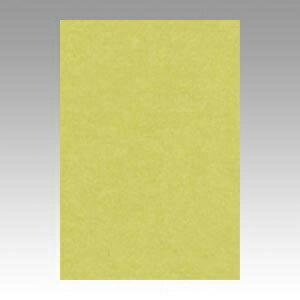 文運堂　ニューカラーR　八ツ切（やなぎ）