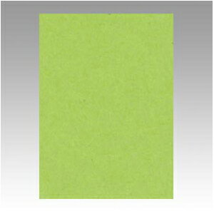 文運堂　ニューカラーR　四ツ切（きみどり）