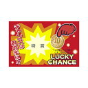 ササガワ 削りカスの出ないスクラッチくじ 特賞 抽選券 くじ引き 福引 タカ印 特賞