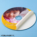 サンワサプライ インクジェットDVD/CDラベル 内径24mm・つやなしマット・50ラベル