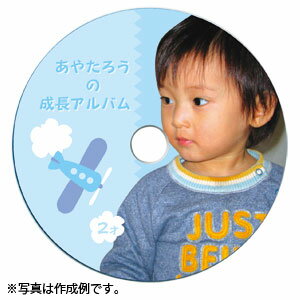 サンワサプライ インクジェットフォト光沢DVD/CDラベル 内径17mm・フォト光沢