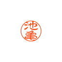 シヤチハタ ネーム11(ブラック11)<顔料系インキ> 既製 池亀