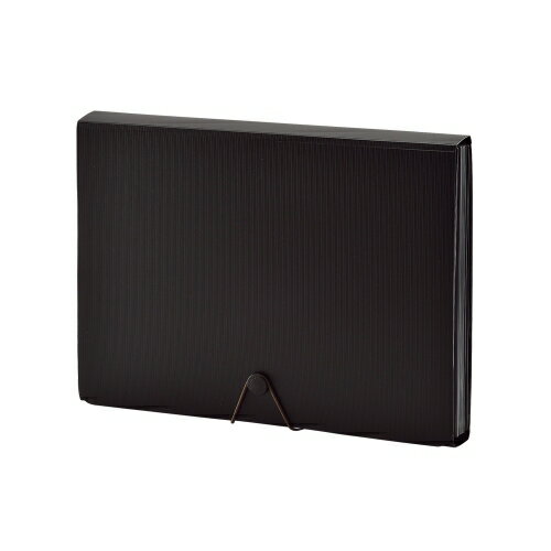 リヒトラブ　SMART FIT ドキュメントファイル　A4判 13ポケット（ブラック）