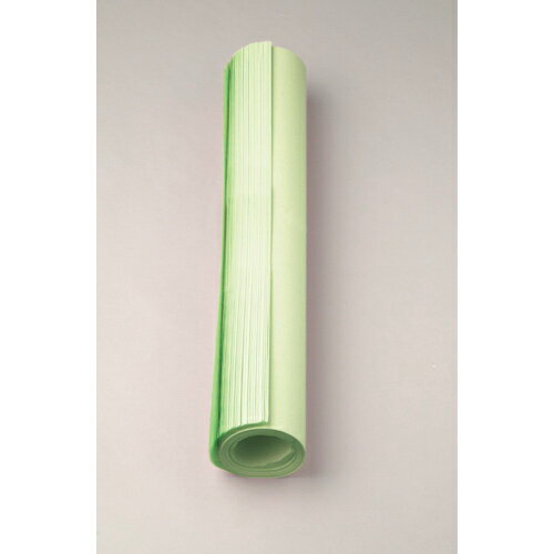 マルアイ　マス目模造紙 模造紙 B紙 自由研究 紙 図表 ポスター（ウグイス）