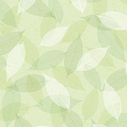 ササガワ 包装紙 花柄 50枚 半才判 シアーリーフ