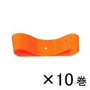 銀鳥産業 コハクリボン 24mm×28m 1セット(10巻入)(橙)