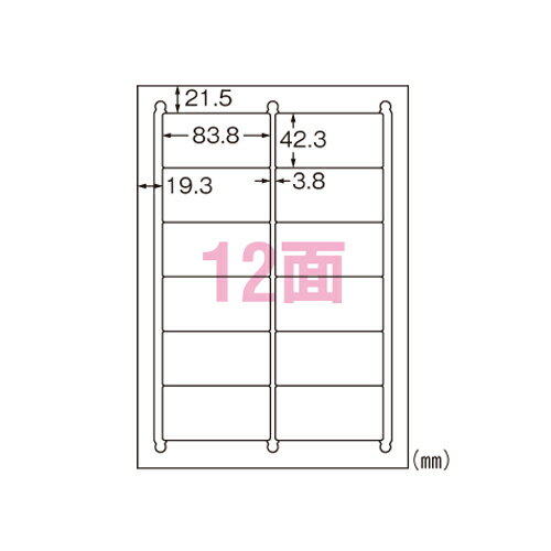 エーワン　特殊素材ラベル レーザープリンタ　水に強いタイプ マット紙・ホワイト 規格:A4判12面