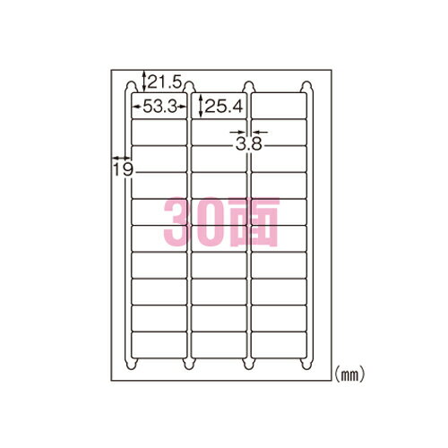 エーワン　特殊素材ラベル レーザープリンタ　水に強いタイプ マット紙・ホワイト 規格:A4判30面