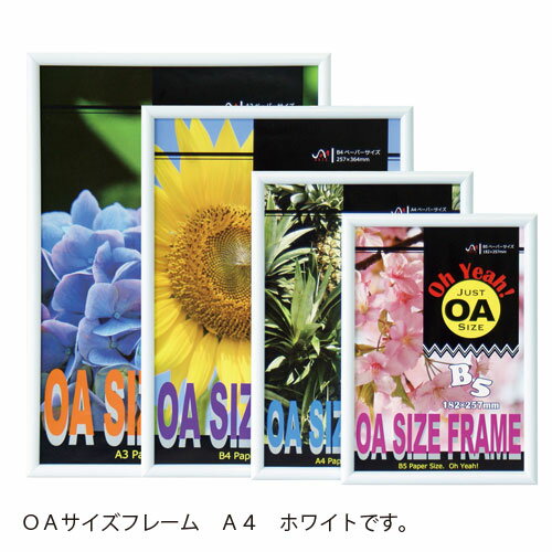 アルテ　OAサイズフレーム A4（ホワイト）