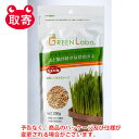 エイムクリエイツ GREEN Labo Dog ＆ Cat grass Seeds 犬と猫が好きな草のタネ 200g ペット用品 猫 犬