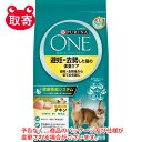 ネスレ日本　PURINA　ONEピュリナワンキャット　ペット用品　猫用　避妊去勢後から全ての年齢に　チキン