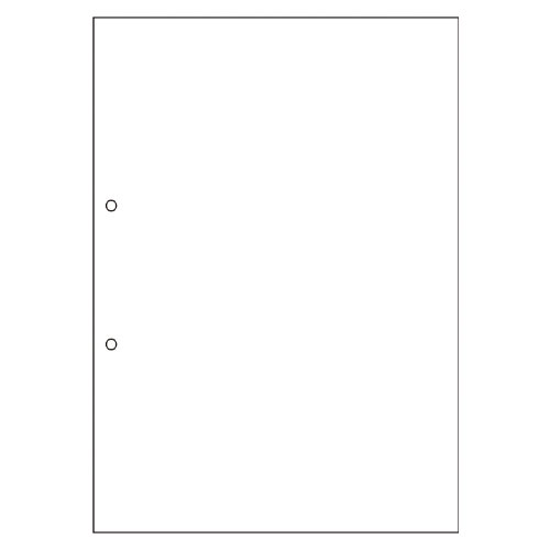 ヒサゴ　FSC[R]認証マルチプリンタ帳票 複写タイプ　100枚入