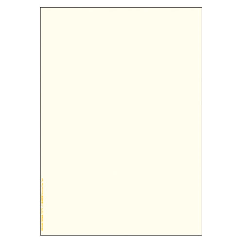 ヒサゴ　FSC[R]認証マルチプリンタ帳票 複写タイプ　100枚入