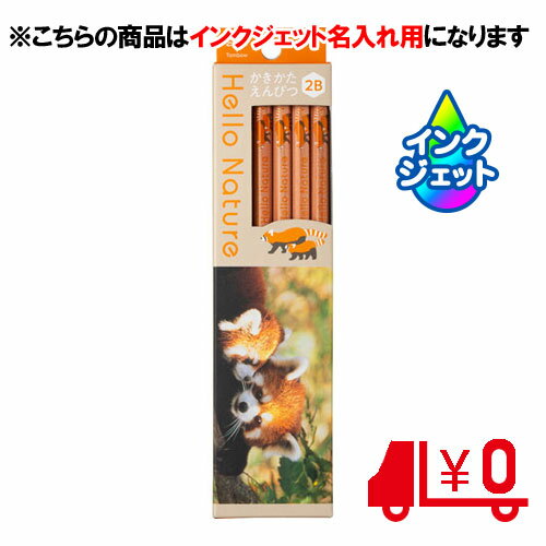 ȥܱɮ̾ɮ ̾ Ԥ ϥͥ㡼 åѥ 2B 6Ѽ [No15]