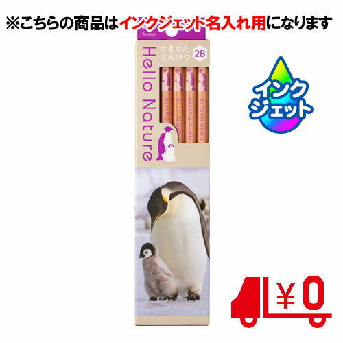 ȥܱɮ̾ɮ ̾ Ԥ ϥͥ㡼 ƥڥ󥮥 2B 6Ѽ [No16]