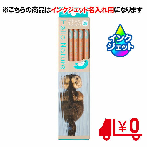 ȥܱɮ̾ɮ ̾ Ԥ ϥͥ㡼 å 2B 6Ѽ [No17]