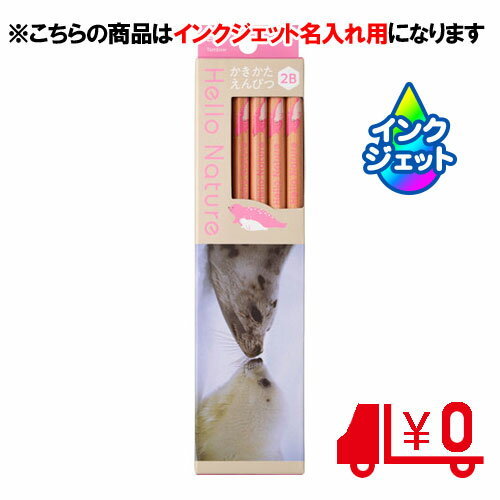 ȥܱɮ̾ɮ ̾ Ԥ ϥͥ㡼 ƥȥ饷 2B 6Ѽ [No18]