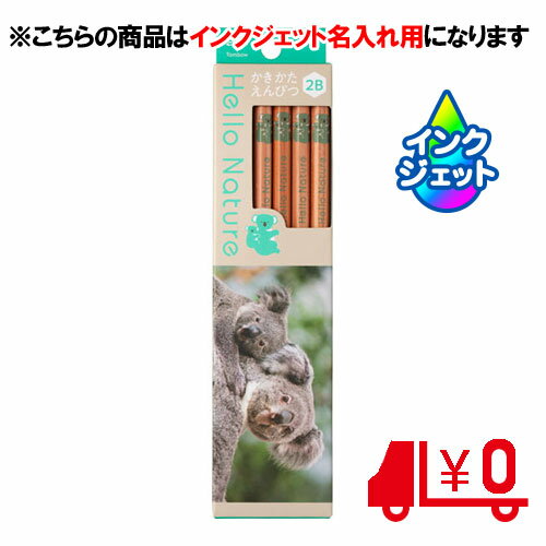 ȥܱɮ̾ɮ ̾ Ԥ ϥͥ㡼  2B 6Ѽ [No19]