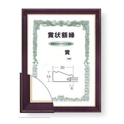 大額　賞状額 ネオ光輝