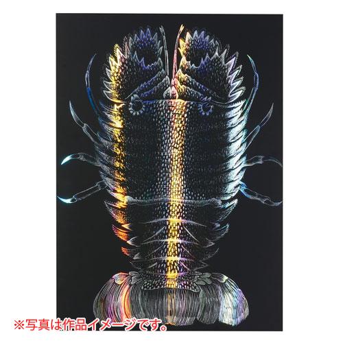 アーテック ホログラムスクラッチボード2 150×200mm