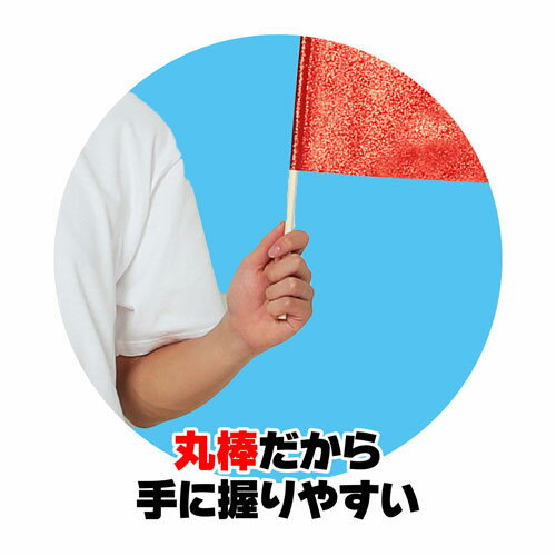 �����ƥå�������å����ե�å� �֥롼 ����W25��H20.5cm ���ȡ�35.5cm(��8mm)�ʥ֥롼��