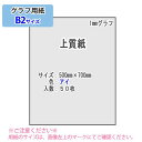 SAKAE TP 1mmグラフ 上質紙 81.4g/m2 B2 50枚(アイ)