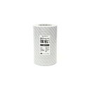カモ井加工紙 mt large core 強粘着 ストライプ・銀 10巻 ギン マスキングテープ マステ