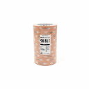 カモ井加工紙 mt large core 強粘着 for you 10巻 マスキングテープ マステ