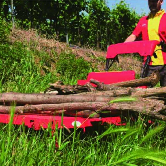 BE1004 �޿奭��˥��� CLDPS Ȣ����������������ž�ء���С����֥륷���ȡ�������եȡ���������� ����̵�� �ѥ�å�ȯ��,�Ǵ���Źα��