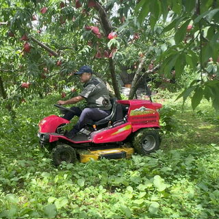 【替刃付】りんご まさお Masao CM2205HCS 2WD 2駆