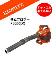 ��Ω�ϥ�ǥ����֥���ʥ֥�������PB260DX