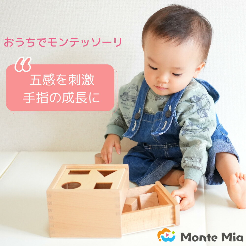 型はめおもちゃ 型はめパズル MonteMia モンテッソーリ ぽっとん落とし 玩具 おもちゃ 知育玩具 教具 モンテッソーリ教具 大工さん 知育 子供 こども 孫 プレゼント お祝い 木製 木のおもちゃ モンテミーア 1歳 2歳