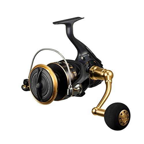 ダイワ(DAIWA) スピニングリール 23BG SW 14000-H