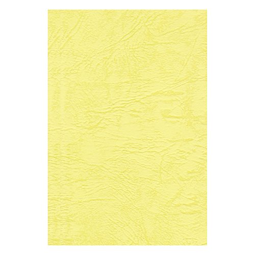 エスケント 色画用紙 レザック66 175kg 四切 レモン 50枚 1431074