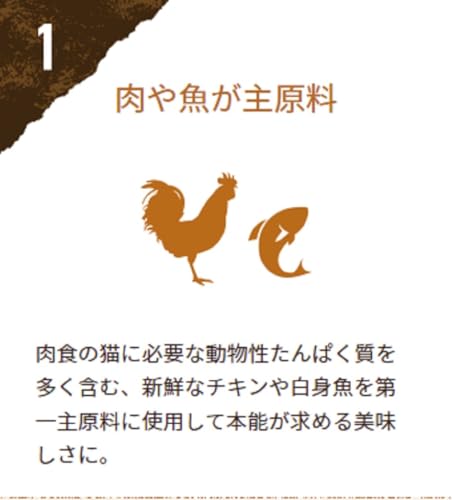 ピュリナ ワン キャット ドライ グレインフリー1歳以上 チキン 3.6kg(360gx10袋入)【Amazon.co.jp限定】