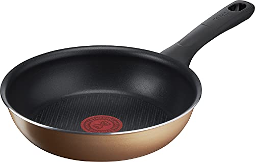 �ڥ���饤������ �ƥ��ե����� �ե饤�ѥ� 20cm ���������� PFOA�ʤɤ�ͭ��ʪ���Ի��� ���Ӥ�Ĥ��ˤ���Ĺ���� �֥ϥˡ�������� �ե�