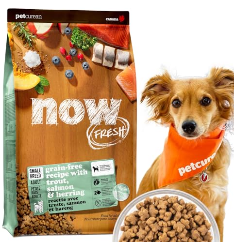 【新鮮という品質をお届け】 ナウフレッシュ 超小粒 小型犬 成犬用 0.35kg ドッグフード ドライ お魚味..