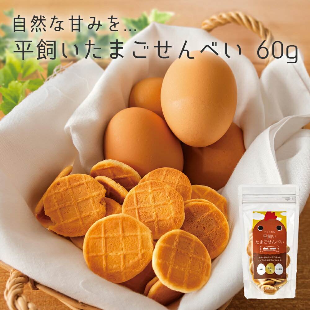 【土日祝も営業 まとめ買いがお得】DOGTREE(ドッグツリー) 豆乳カルシウムぼうろ 50g