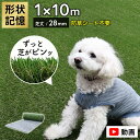 【最大全額タダ!7/5限定で当選確率2分の1】【メーカー公認店】メモリーターフ AIR 人工芝 1m×10m ロール 芝生 リアル 人工芝生 水はけ 人口芝 芝丈28mm 屋外 防草シート不要 庭 緑 ベランダ 室内 ドックラン 犬 サッカー 長め 業務用 diy 抜けにくい 防草