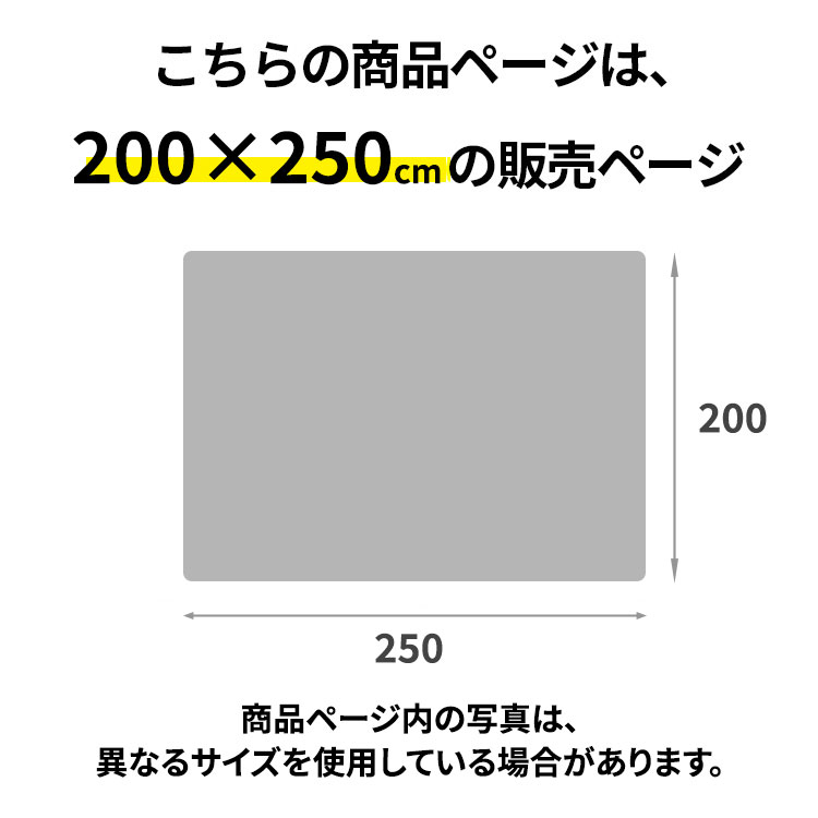 ラグ ヴィンテージ風 ペルシャ絨毯風 オリエンタル柄 3畳 三畳 ラグマット ペルシャ風 おしゃれ じゅうたん 夏用ラグ 長方形 絨毯 カーペット 夏 200×250 リビングラグ 通年 オールシーズン 短毛 エレガント 刺繍風