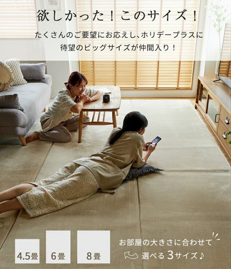 【今すぐ使える2000円クーポン配布中】ラグ ...の紹介画像3