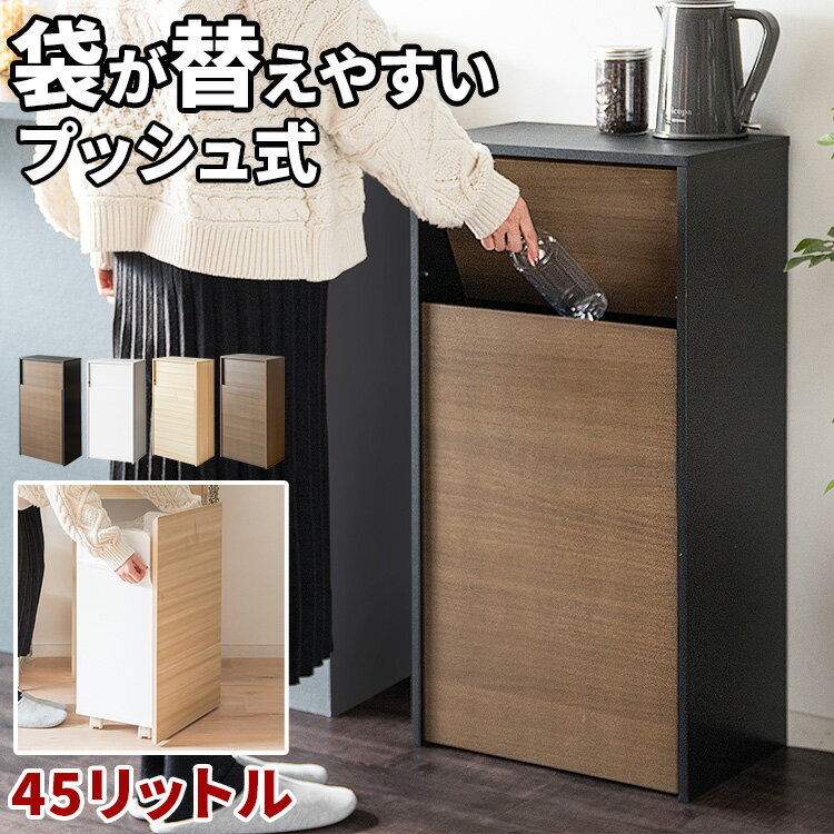 ゴミ箱 45リットル 45l ごみ箱 おしゃ